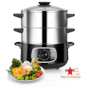 Secura best cheap food steamer